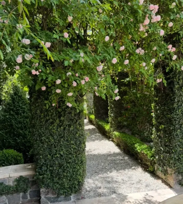 Finished garden walkway framed by clipped arches