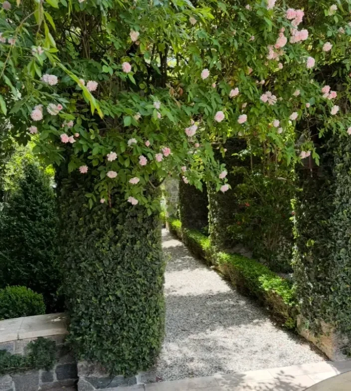 Finished garden walkway framed by clipped arches