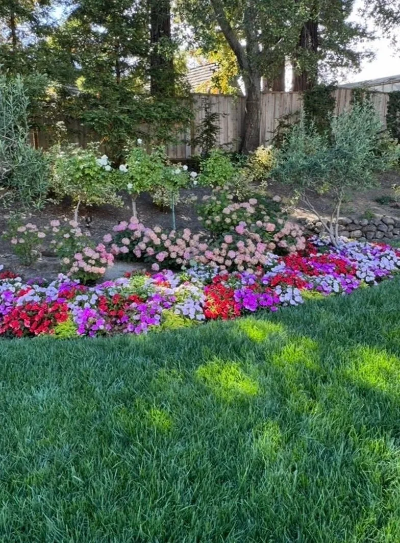 Curved flower bed with purple, red, and pink blooms beside a manicured lawn