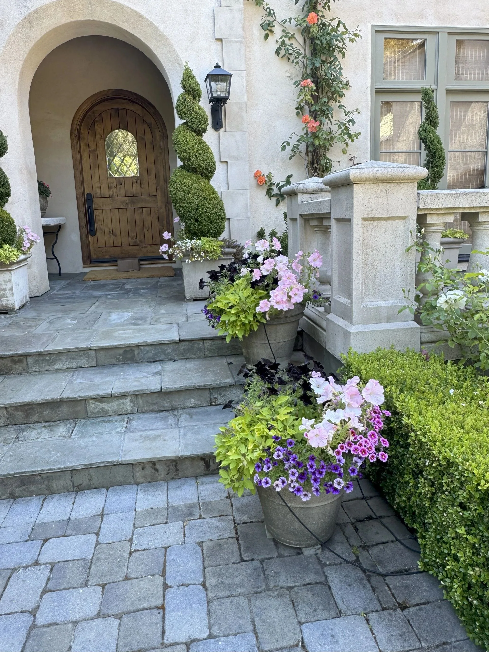 Stone entry path bordered by clipped shrubs and flowering vines