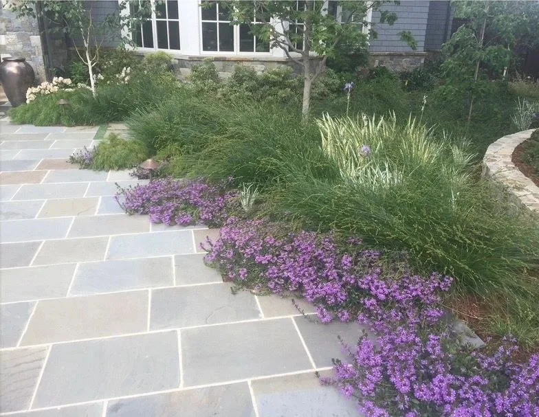 Pale stone paving beside a layered border of grasses and purple flowers