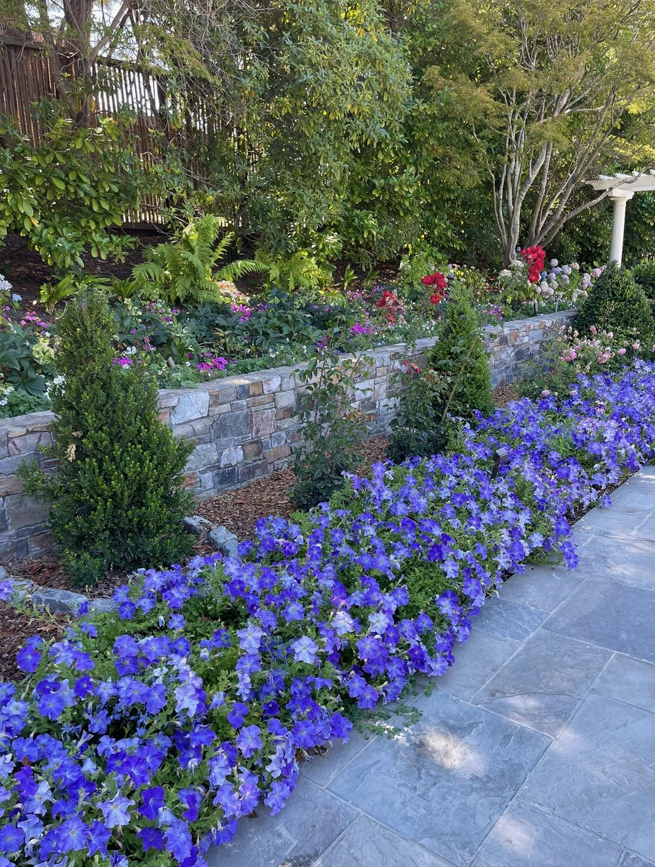 Wide garden border with layered flowering plants, mature trees, and a stone retaining wall