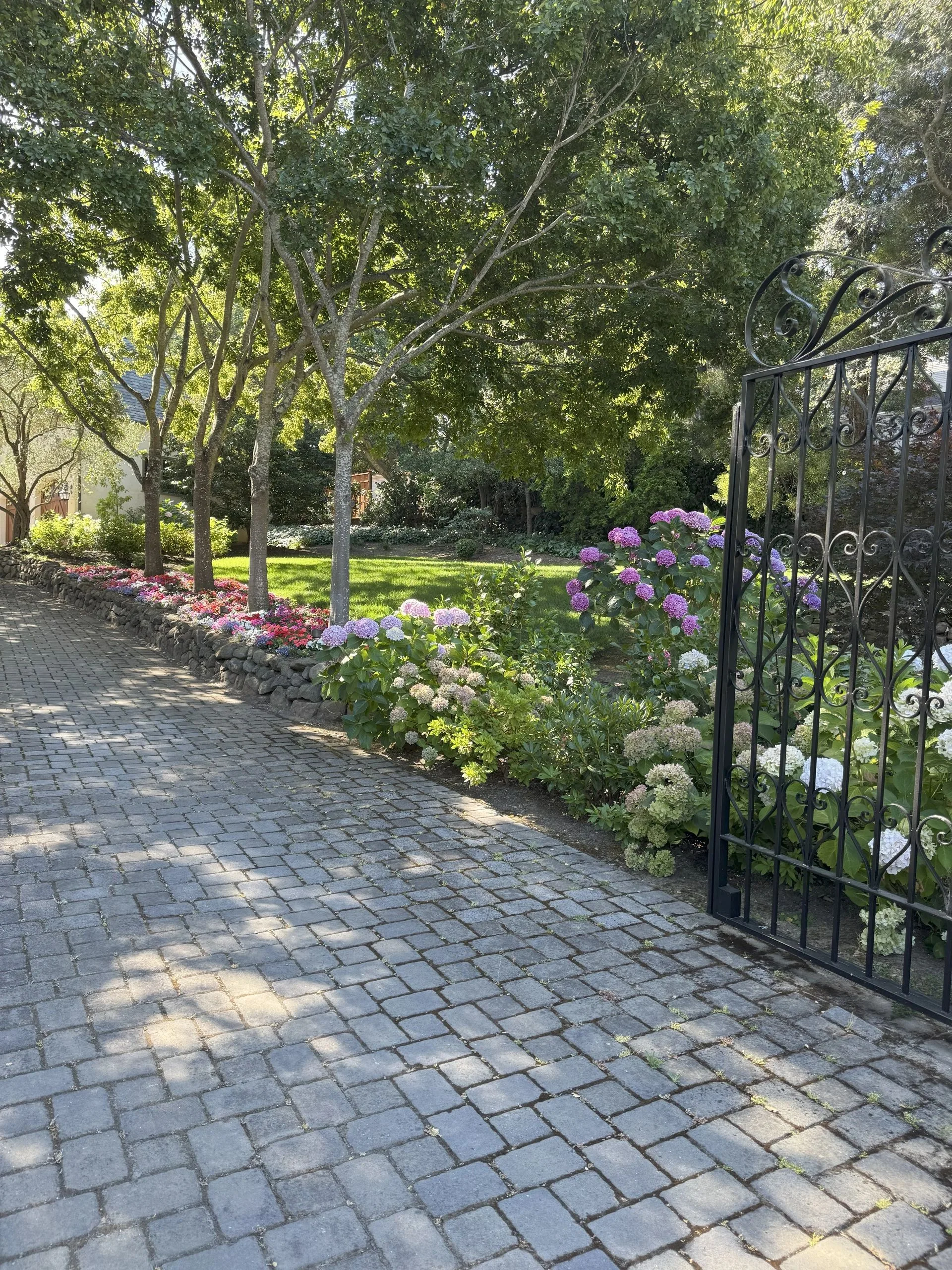 Shaded garden path leading through a decorative metal gate