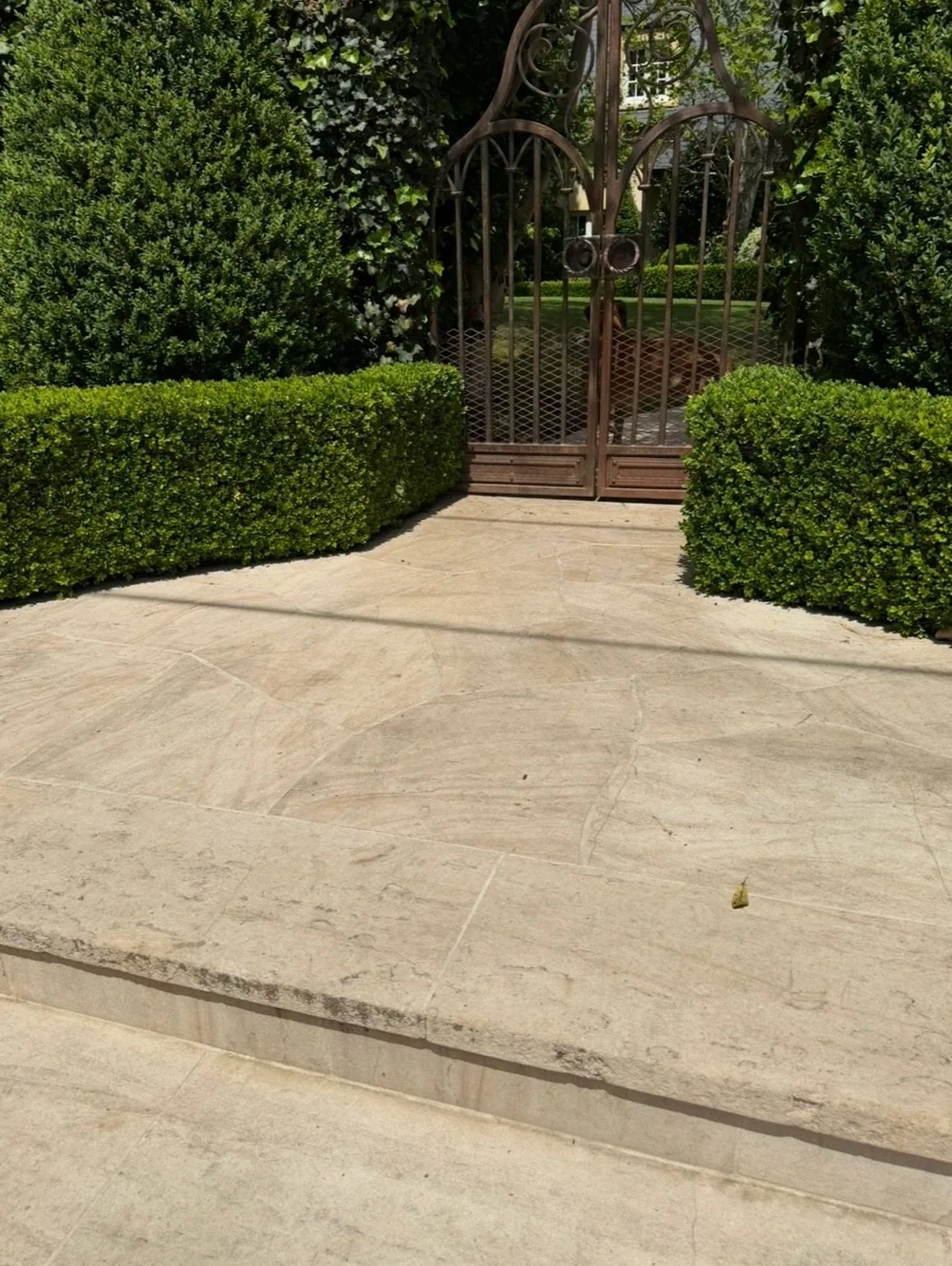 Stone steps leading to a metal gate surrounded by trimmed bushes